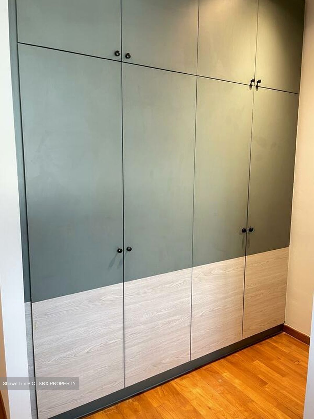 Loft @ Rangoon (D8), Apartment #520703421